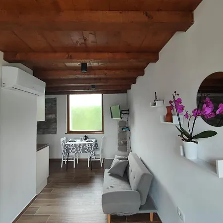 Apartment Pri Piskovih *