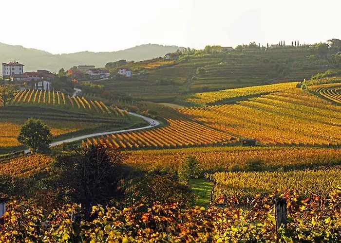 شقة Pri Piskovih *